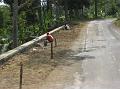 2007 07 15 BALI 0085